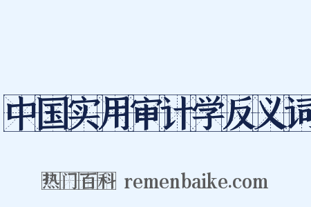中国实用审计学反义词是什么意思的图片